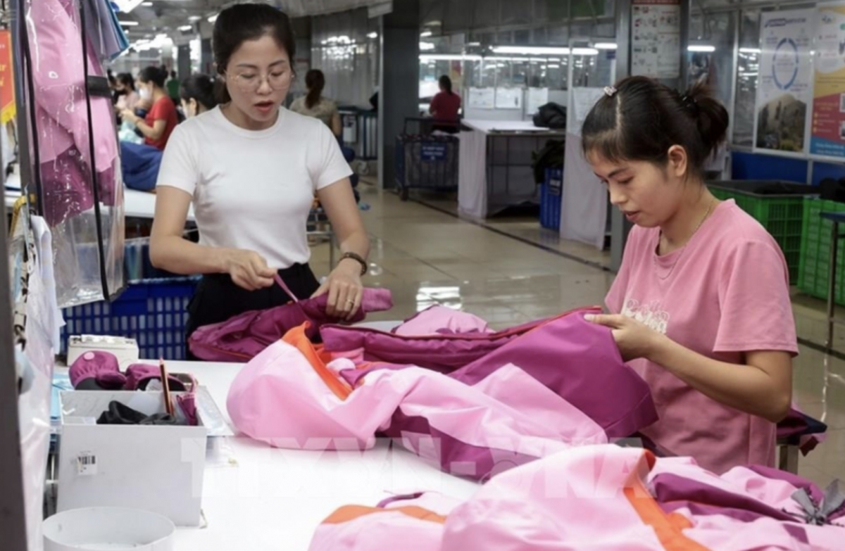 Vietnamese goods expand presence in French retail